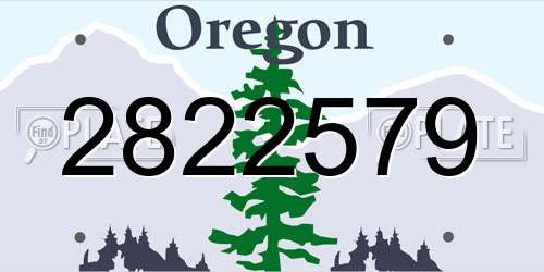2822579 Oregon License Plate