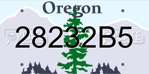 28232B5 Oregon License Plate