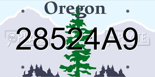 28524A9 Oregon License Plate