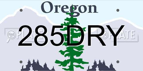 285DRY Oregon License Plate