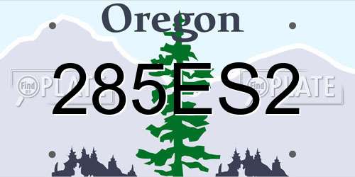 285ES2 Oregon License Plate