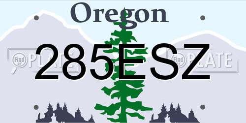 285ESZ Oregon License Plate