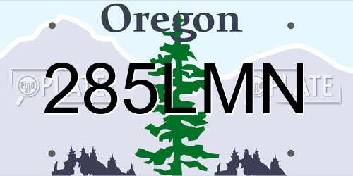 285LMN Oregon License Plate