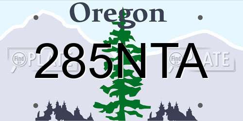 285NTA Oregon License Plate