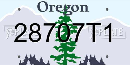 28707T1 Oregon License Plate