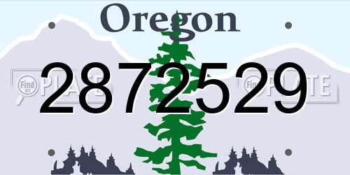 2872529 Oregon License Plate