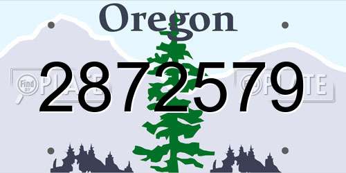 2872579 Oregon License Plate