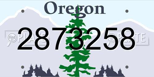 2873258 Oregon License Plate