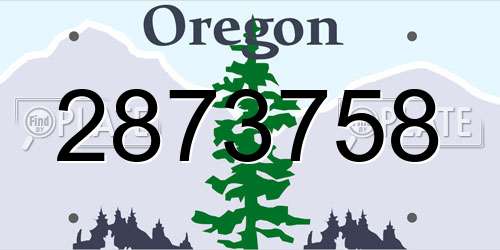 2873758 Oregon License Plate