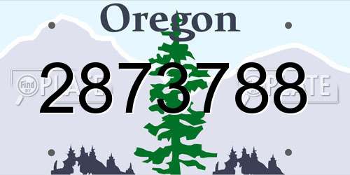 2873788 Oregon License Plate