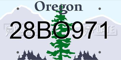 28BO971 Oregon License Plate