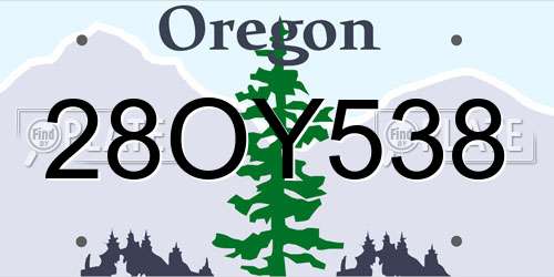 28OY538 Oregon License Plate