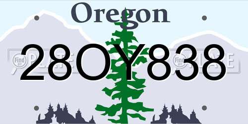 28OY838 Oregon License Plate