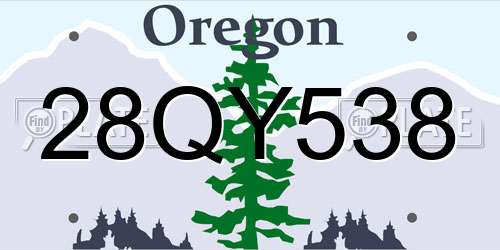 28QY538 Oregon License Plate