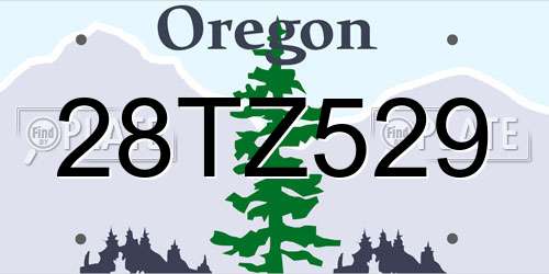 28TZ529 Oregon License Plate