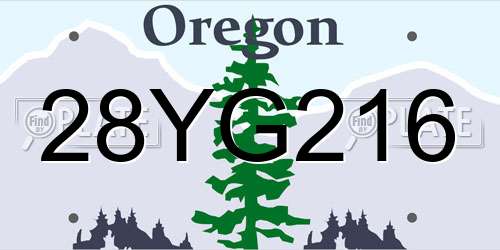 28YG216 Oregon License Plate