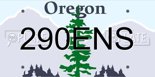 290ENS Oregon License Plate
