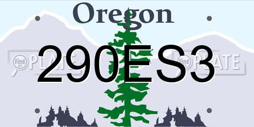 290ES3 Oregon License Plate