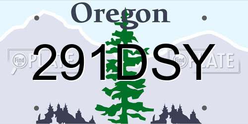 291DSY Oregon License Plate