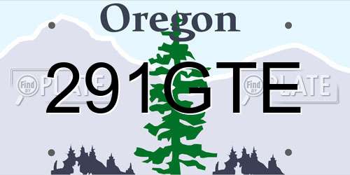 291GTE Oregon License Plate