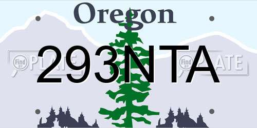 293NTA Oregon License Plate