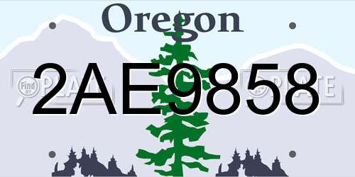 2AE9858 Oregon License Plate