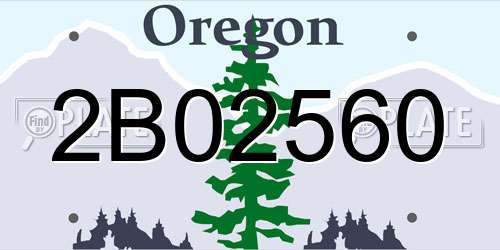 2B02560 Oregon License Plate