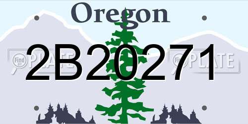 2B20271 Oregon License Plate