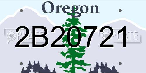 2B20721 Oregon License Plate