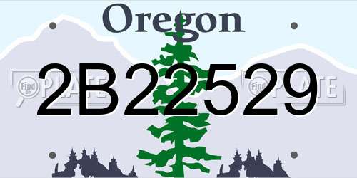 2B22529 Oregon License Plate