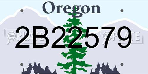 2B22579 Oregon License Plate