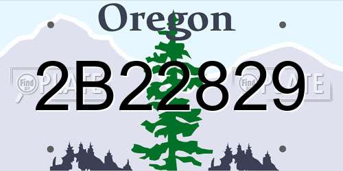 2B22829 Oregon License Plate