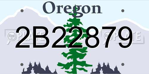 2B22879 Oregon License Plate