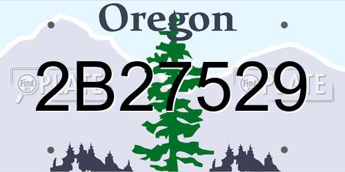 2B27529 Oregon License Plate