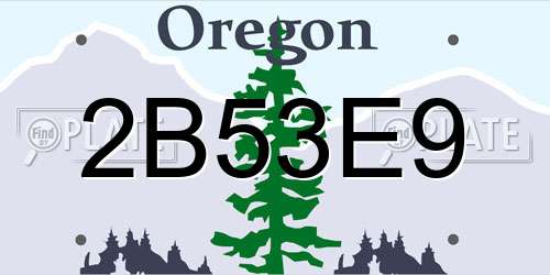 2B53E9 Oregon License Plate