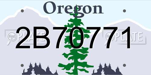 2B70771 Oregon License Plate