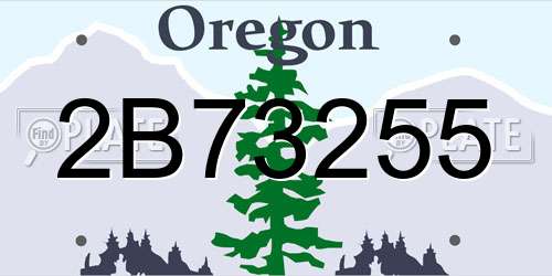 2B73255 Oregon License Plate