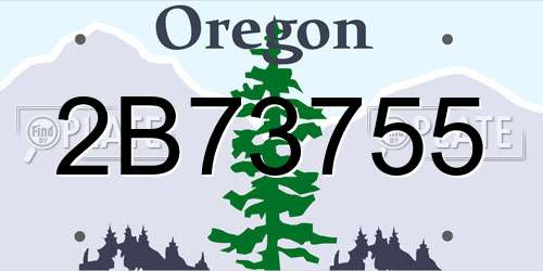 2B73755 Oregon License Plate