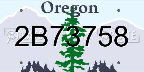 2B73758 Oregon License Plate