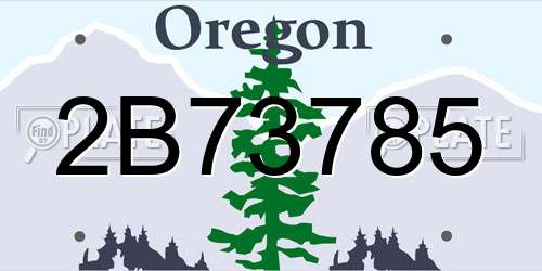 2B73785 Oregon License Plate