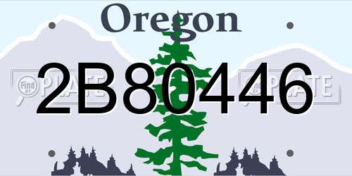 2B80446 Oregon License Plate