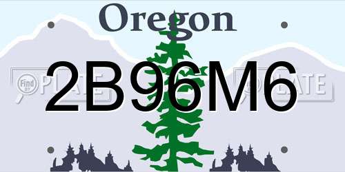 2B96M6 Oregon License Plate