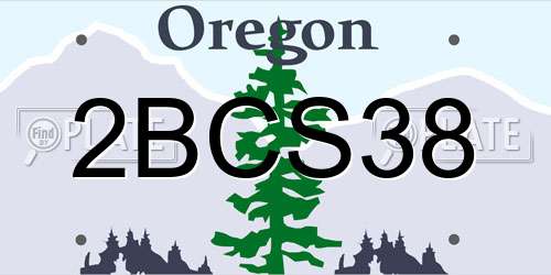 2BCS38 Oregon License Plate