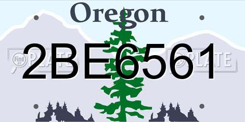 2BE6561 Oregon License Plate