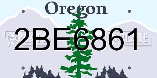 2BE6861 Oregon License Plate