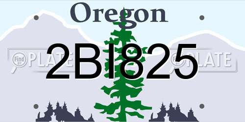 2BI825 Oregon License Plate