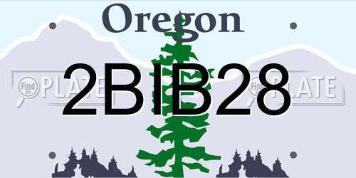 2BIB28 Oregon License Plate