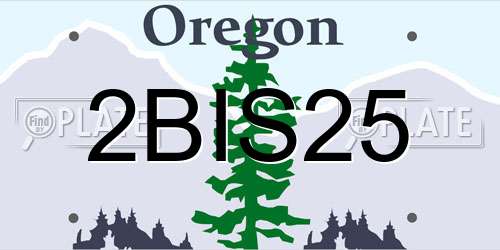 2BIS25 Oregon License Plate