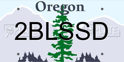 2BLSSD Oregon License Plate