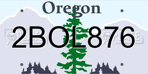 2BOL876 Oregon License Plate